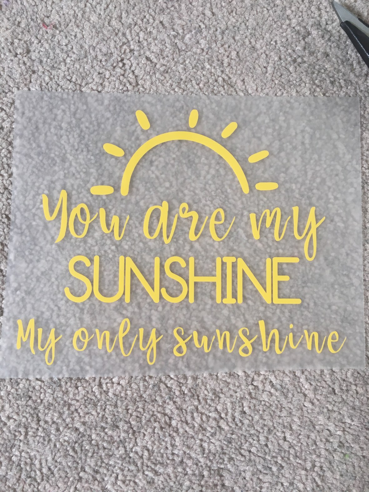 B917B43C-5146-41B1-B50E-02C5A53037C8